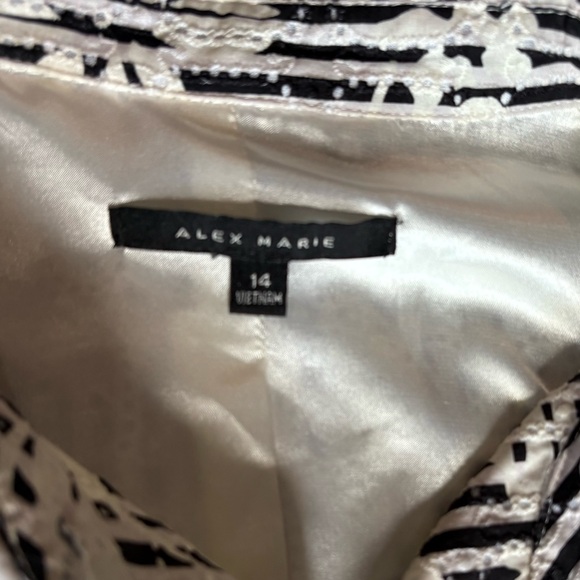 Alex Marie Eyelet Over Black and White Striped Dress 14 NWT - Picture 4 of 8